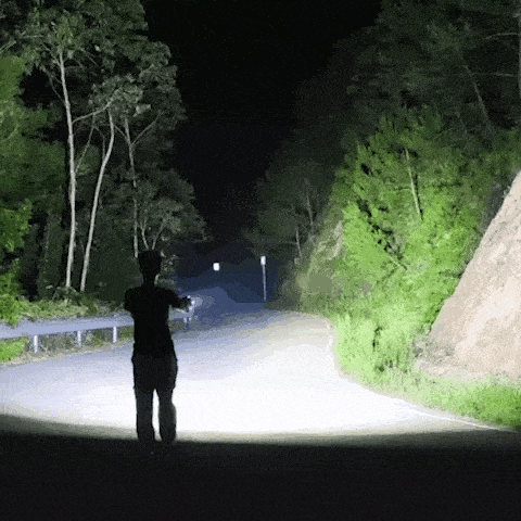 Vitaltac Flashlight (official Retailer) 2025